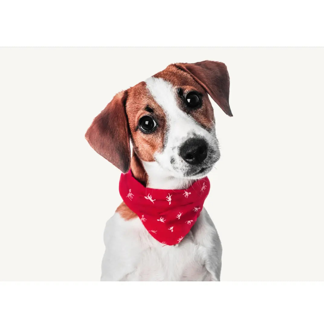 Petlab Co Dog Bandana - Elegant Pet Scarf | Soft, Comfortable, and Washable Dog Accessory