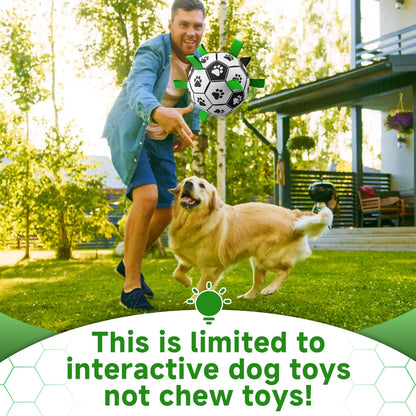 Paw-Grip Dog Football