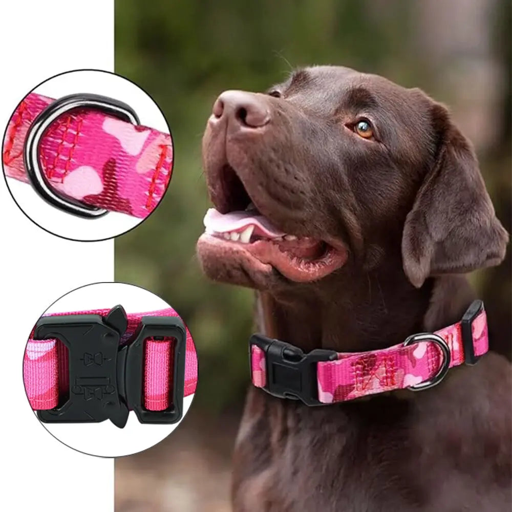 Dog Collar Leash Set for Medium to Large Dogs #Summerwins #Dealsforyoudays Tactical Dog Collar Dog Leash Outdoorfun Dog Accessories