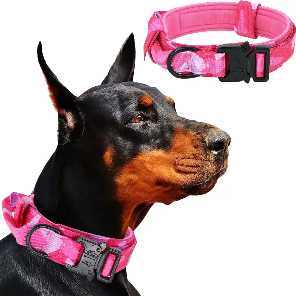 Dog Collar Leash Set for Medium to Large Dogs #Summerwins #Dealsforyoudays Tactical Dog Collar Dog Leash Outdoorfun Dog Accessories