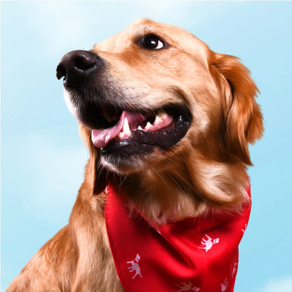 Petlab Co Dog Bandana - Elegant Pet Scarf | Soft, Comfortable, and Washable Dog Accessory