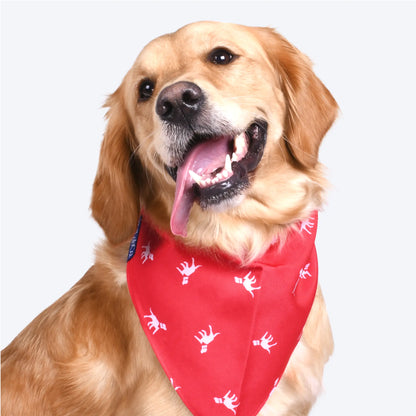 Petlab Co Dog Bandana - Elegant Pet Scarf | Soft, Comfortable, and Washable Dog Accessory