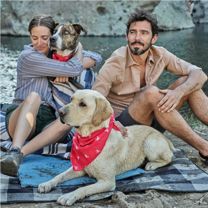 Petlab Co Dog Bandana - Elegant Pet Scarf | Soft, Comfortable, and Washable Dog Accessory