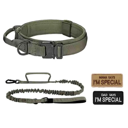Dog Collar Leash Set for Medium to Large Dogs #Summerwins #Dealsforyoudays Tactical Dog Collar Dog Leash Outdoorfun Dog Accessories