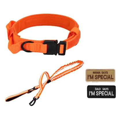 Dog Collar Leash Set for Medium to Large Dogs #Summerwins #Dealsforyoudays Tactical Dog Collar Dog Leash Outdoorfun Dog Accessories