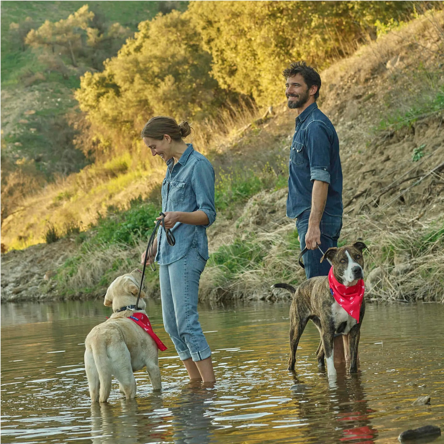 Petlab Co Dog Bandana - Elegant Pet Scarf | Soft, Comfortable, and Washable Dog Accessory