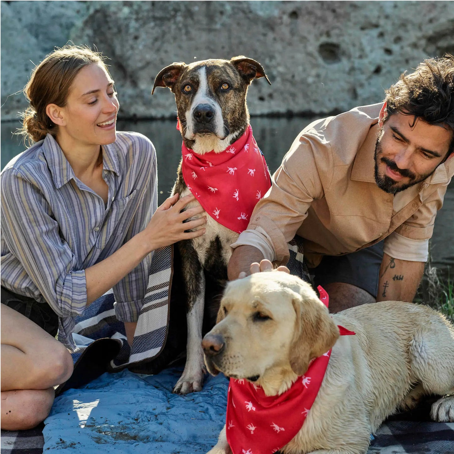 Petlab Co Dog Bandana - Elegant Pet Scarf | Soft, Comfortable, and Washable Dog Accessory