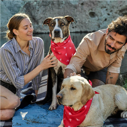 Petlab Co Dog Bandana - Elegant Pet Scarf | Soft, Comfortable, and Washable Dog Accessory