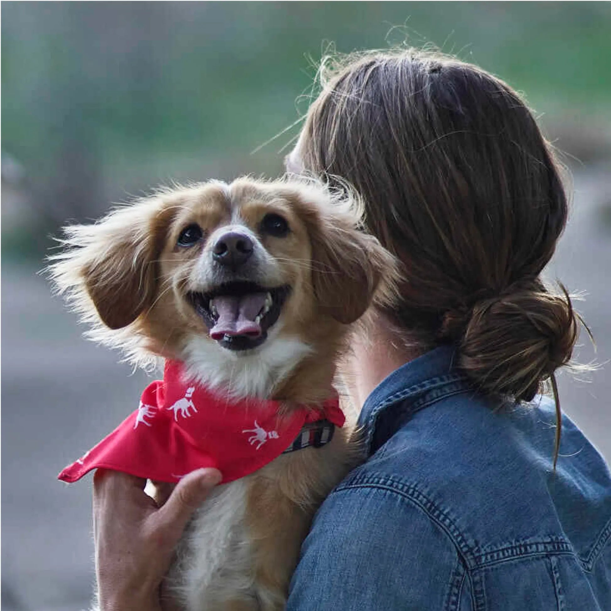 Petlab Co Dog Bandana - Elegant Pet Scarf | Soft, Comfortable, and Washable Dog Accessory
