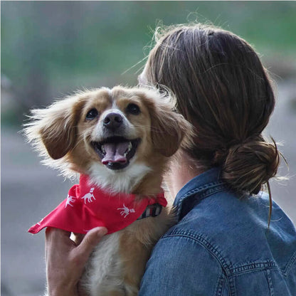 Petlab Co Dog Bandana - Elegant Pet Scarf | Soft, Comfortable, and Washable Dog Accessory
